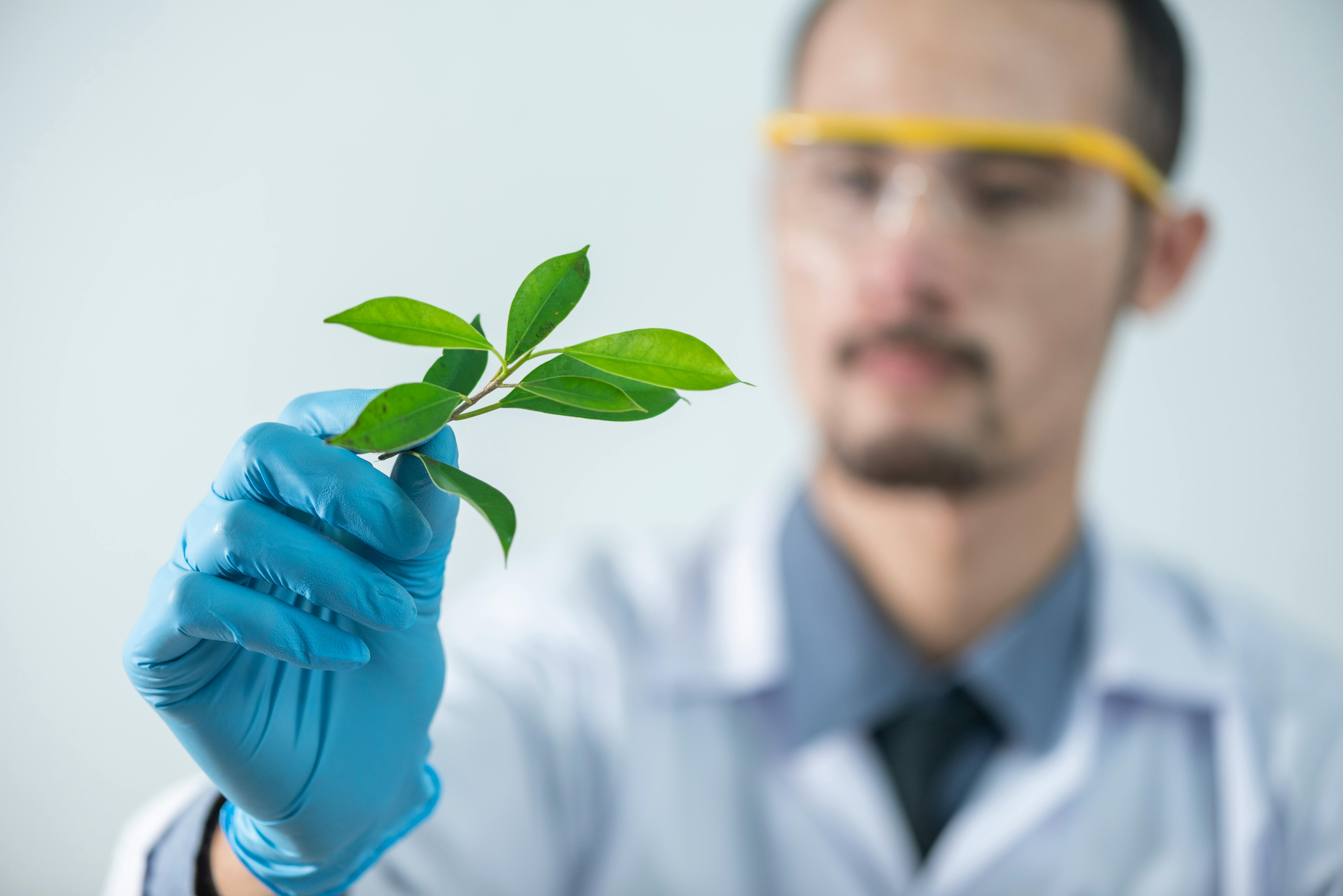 Botany