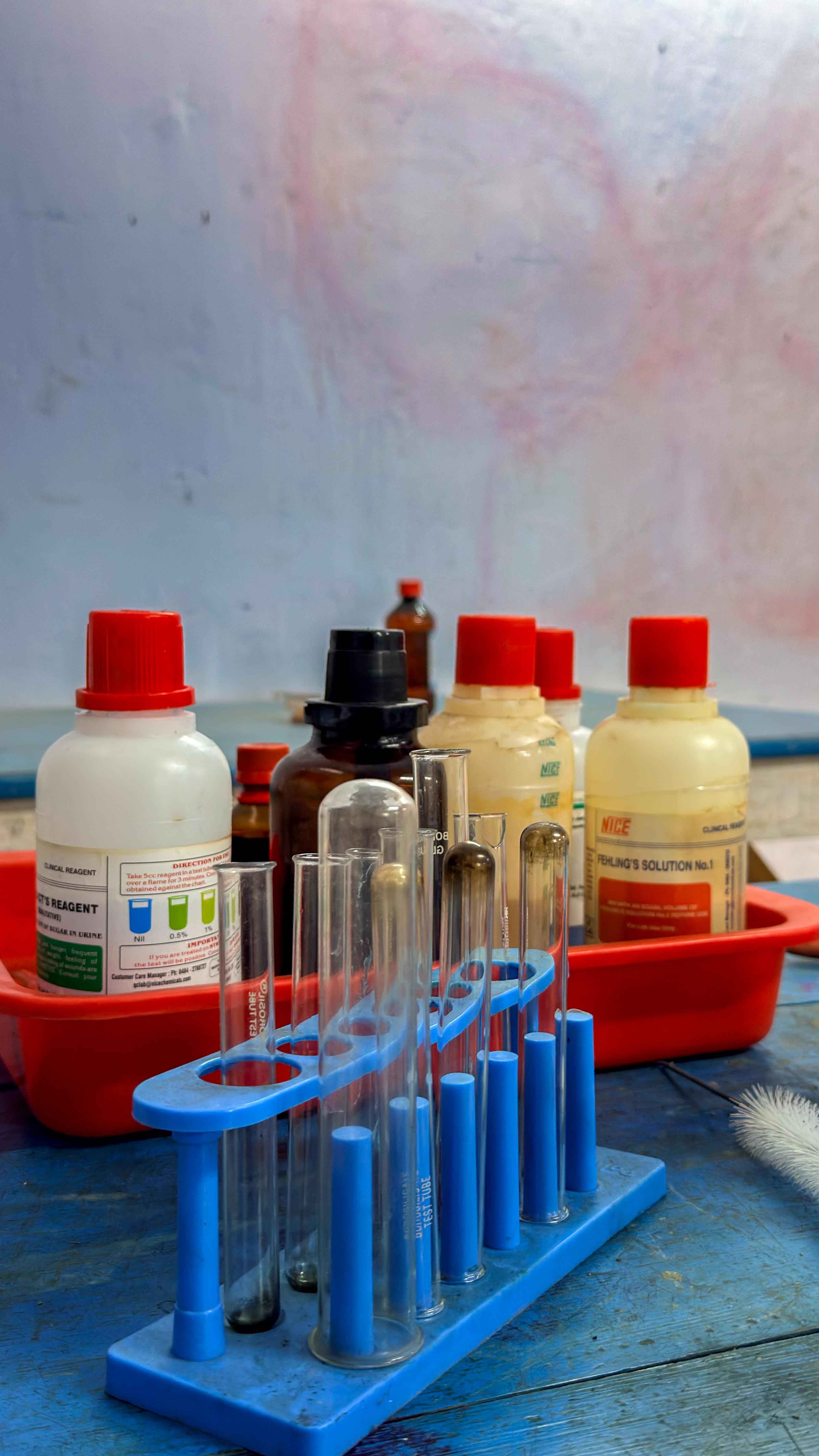 Botany lab 4