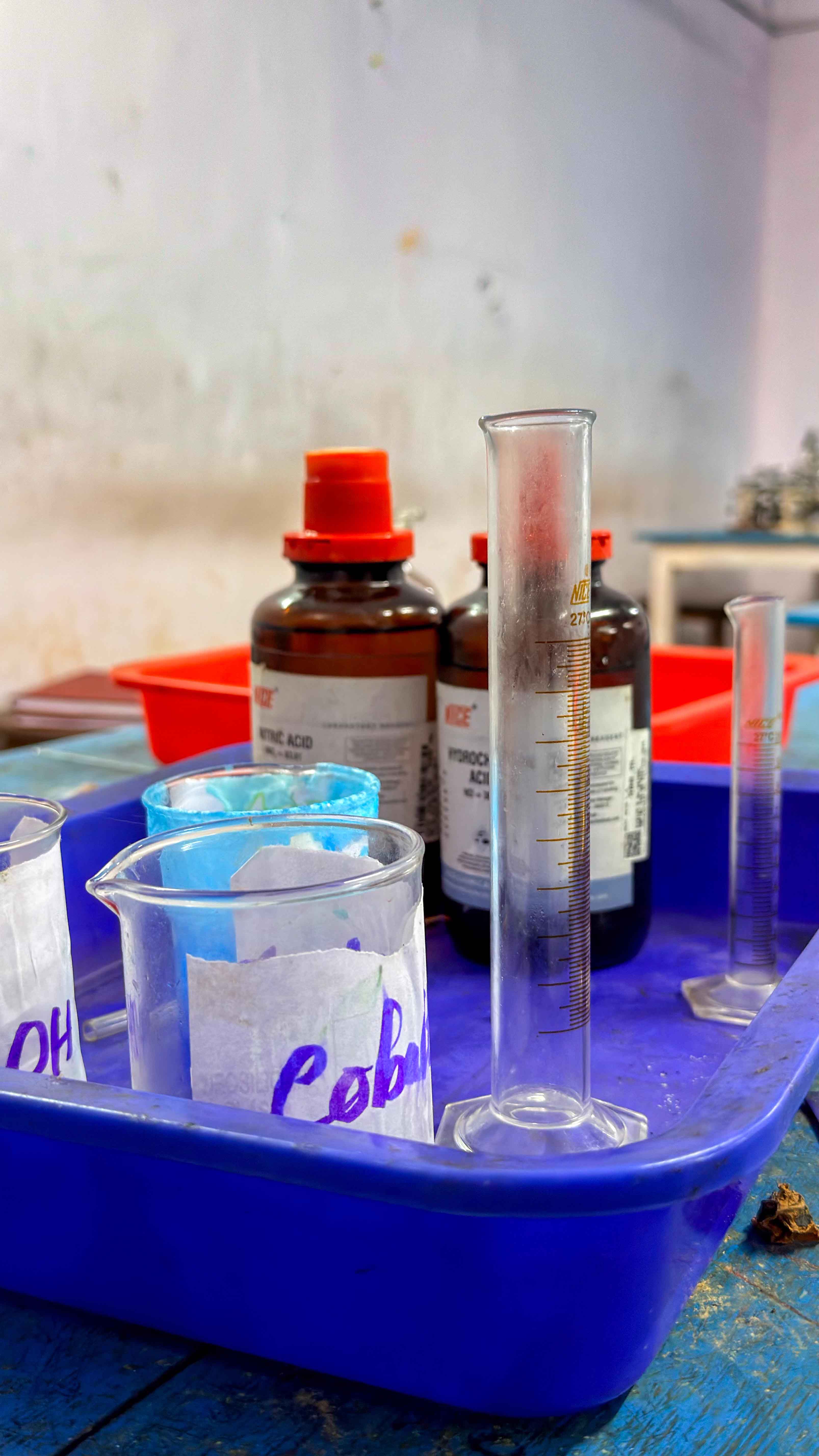 Botany lab 5