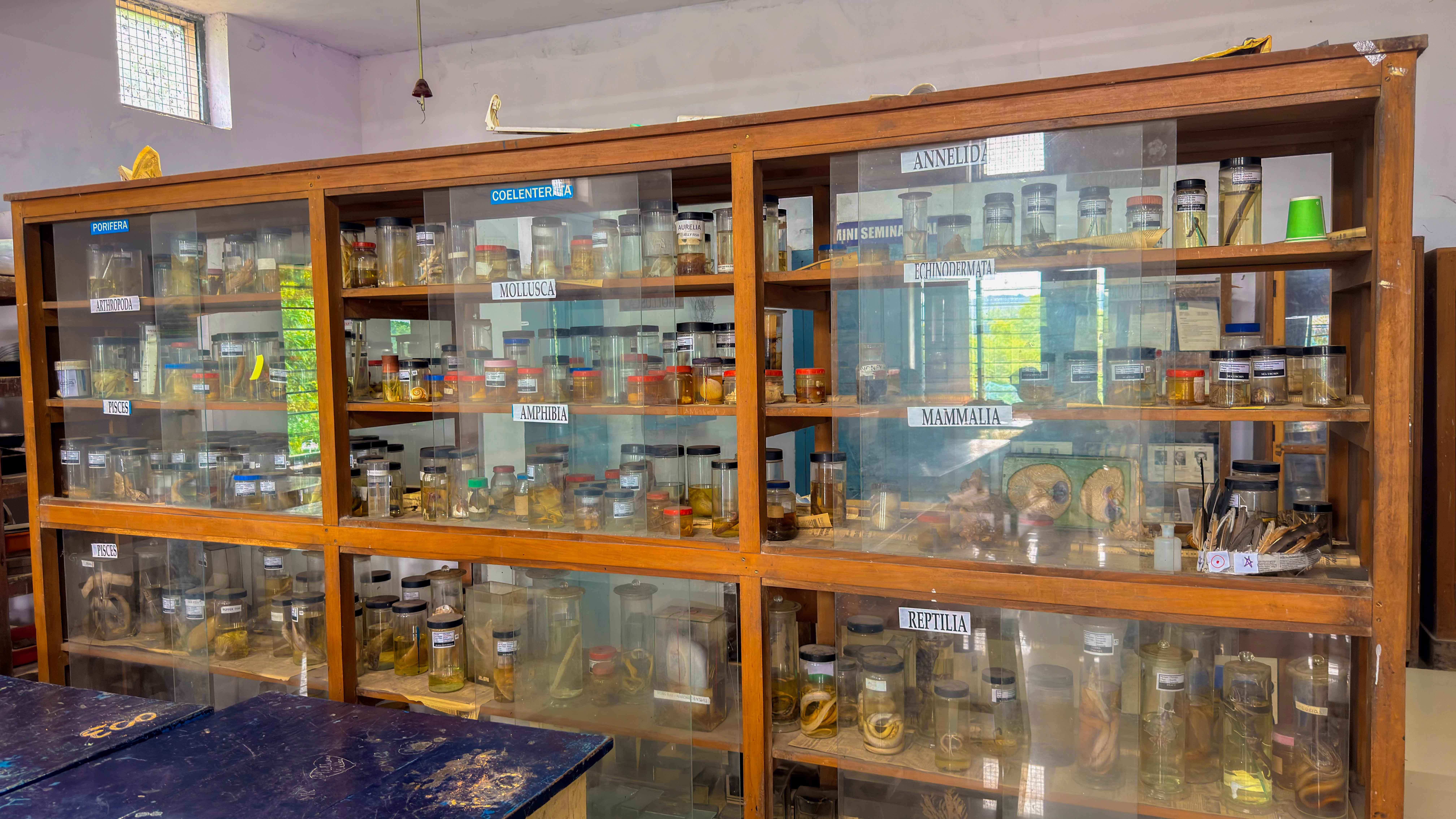 Zoology Lab 2