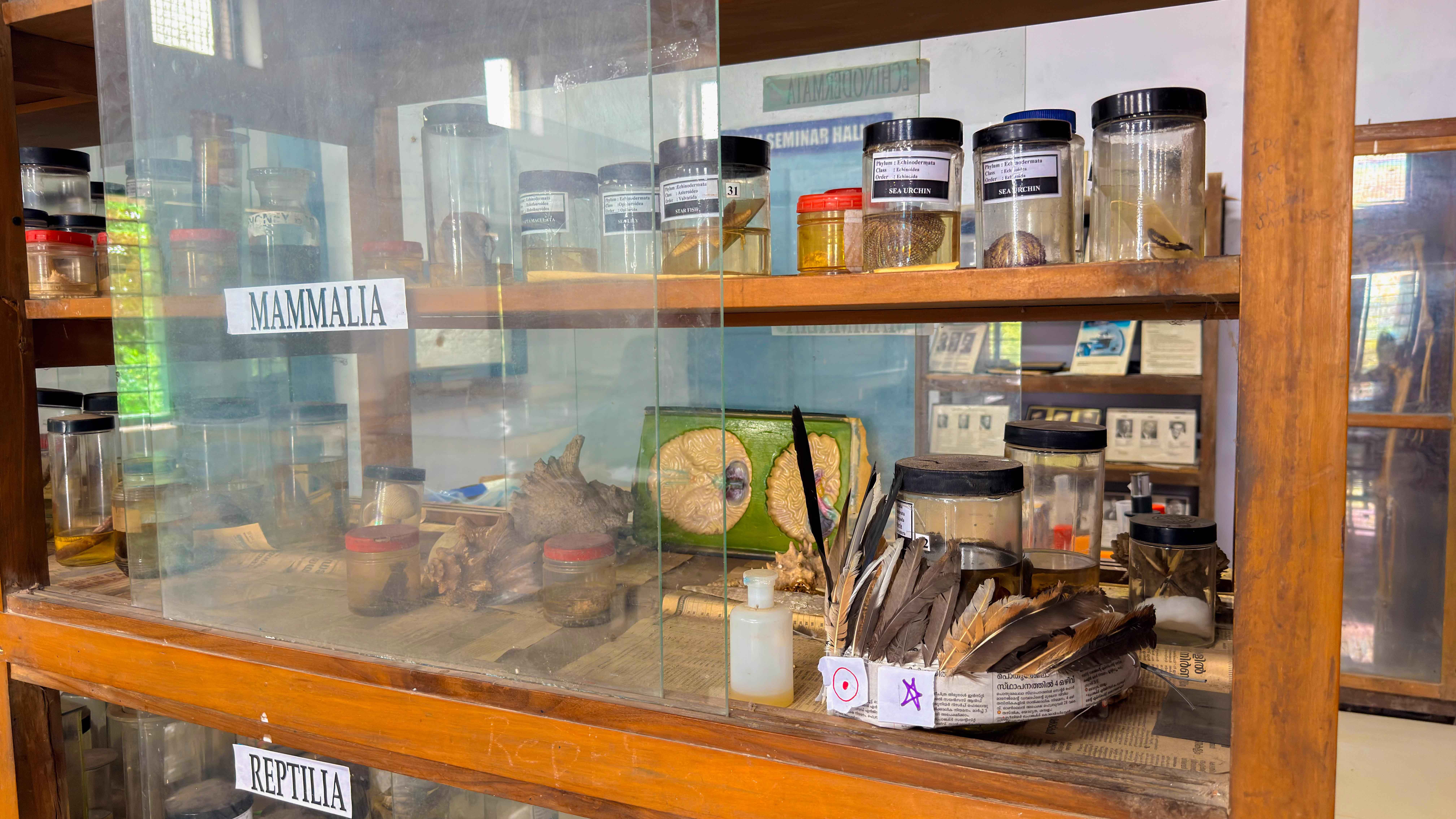 Zoology Lab 4